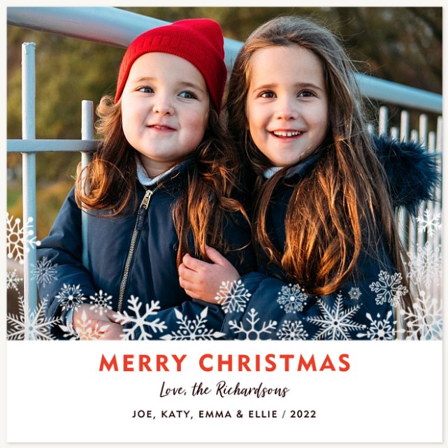 Snowful Border Personalized Holiday Cards