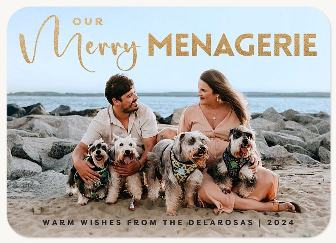 Merry Menagerie Personalized Holiday Cards