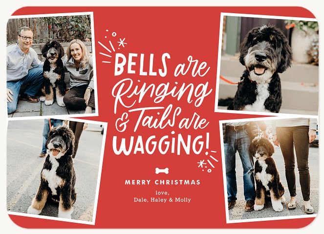 Tails Are Wagging Personalized Holiday Cards