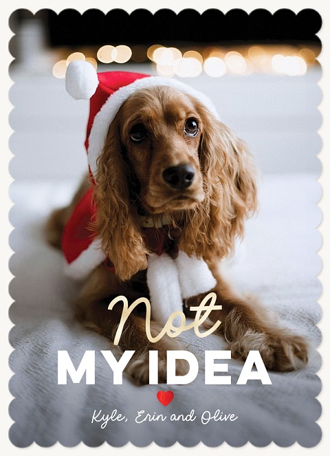 Not My Idea Personalized Holiday Cards