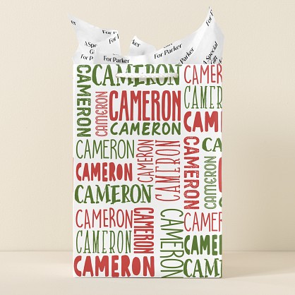 Crisscross Fun Gift Bag