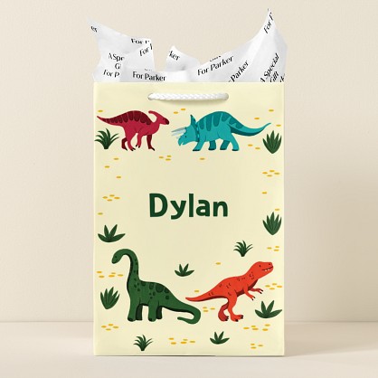 Dino Friends Gift Bag
