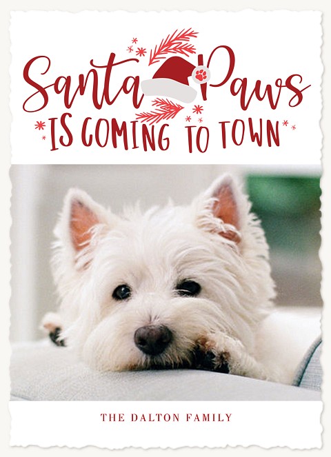 Santa Paws Christmas Cards