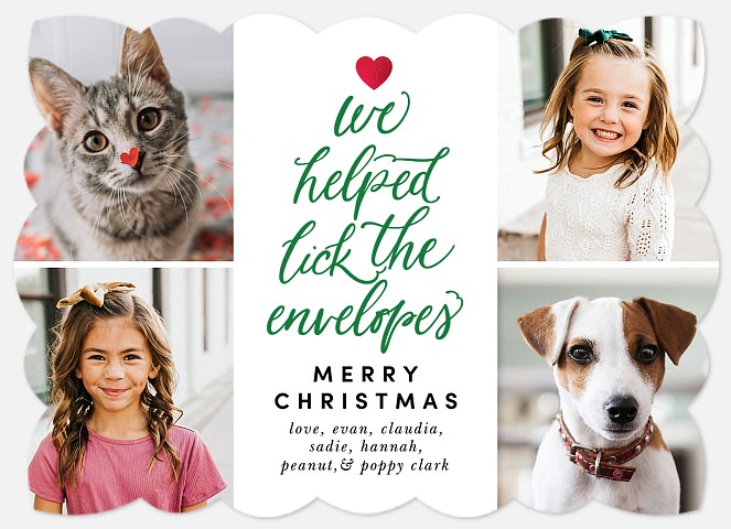 All Our Pets Holiday Photo Cards