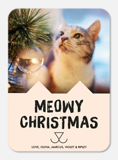 Cheerful Kitty