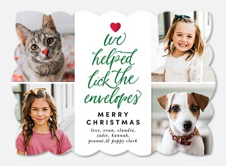 All Our Pets