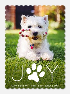 Pawfect Joy