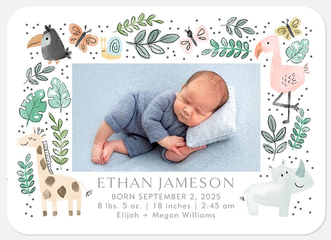 Friendly Animals Baby Birth Announcements