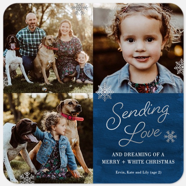 Navy Frost Holiday Photo Cards