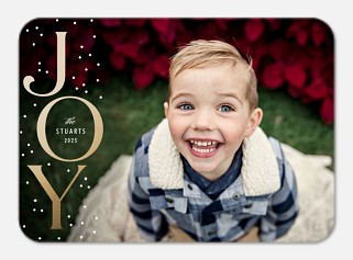Snowy Joy