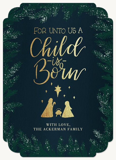 Flocked Manger Christmas Cards