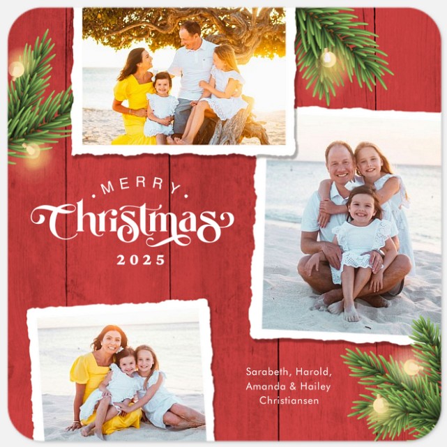 Festive Pines Holiday Photo Cards
