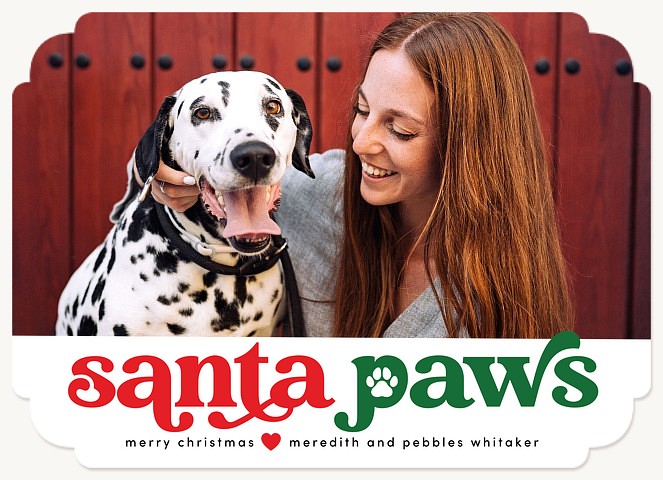 Warm & Furry Wishes Personalized Holiday Cards