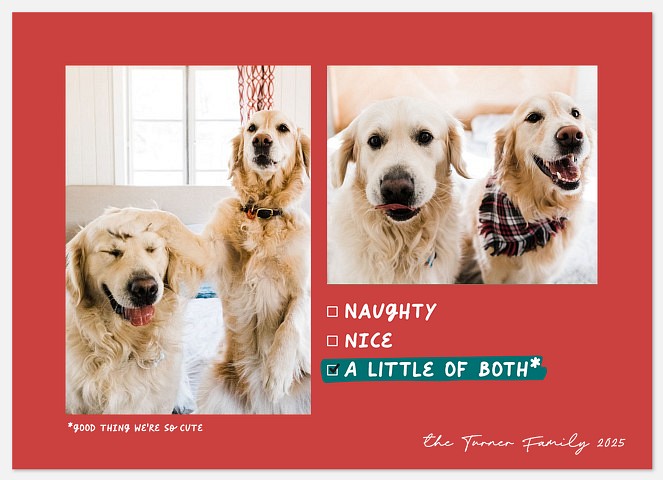 Naughty & Nice Holiday Photo Cards