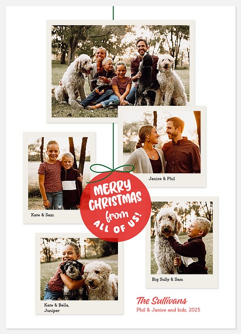 Polaroid Moments Holiday Photo Cards