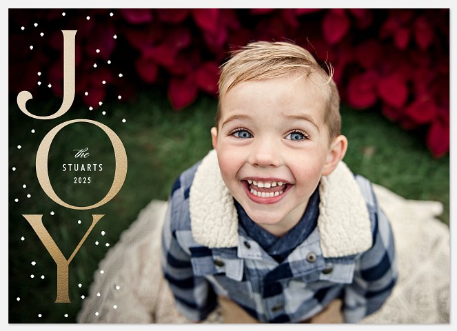 Snowy Joy Holiday Photo Cards