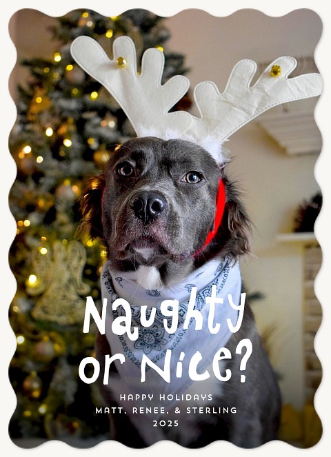 Playful Holiday Personalized Holiday Cards