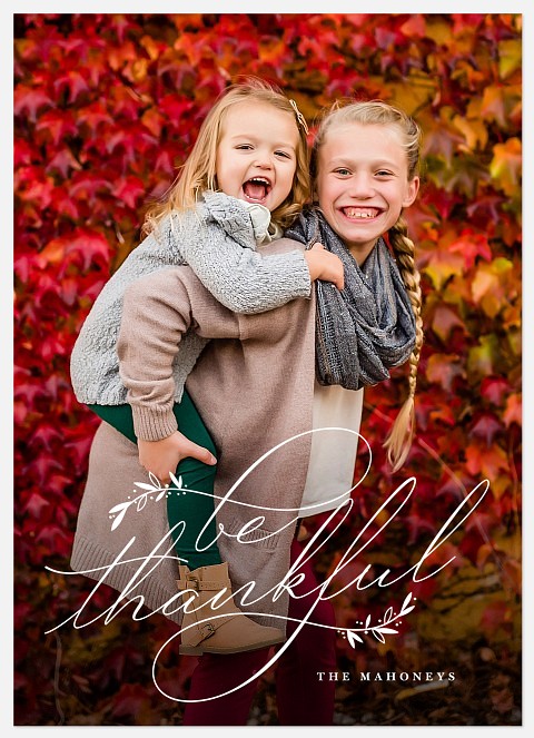 Thankful Foliage Thanksgiving Cards