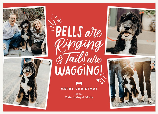 Tails Are Wagging Personalized Holiday Cards