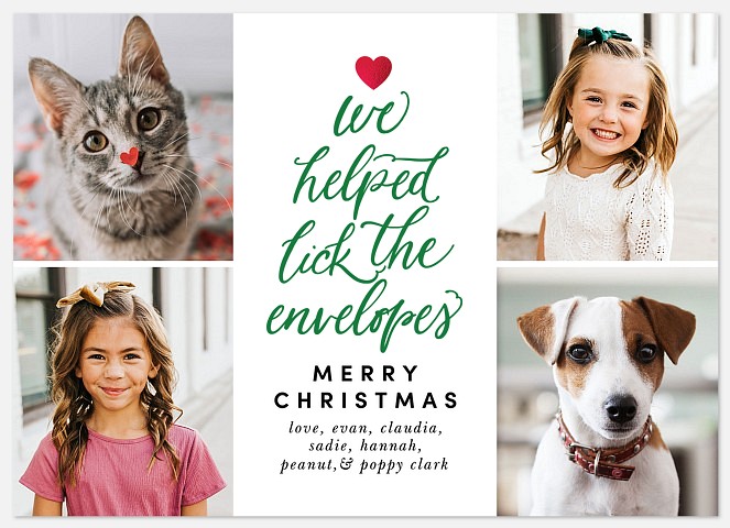 All Our Pets Holiday Photo Cards