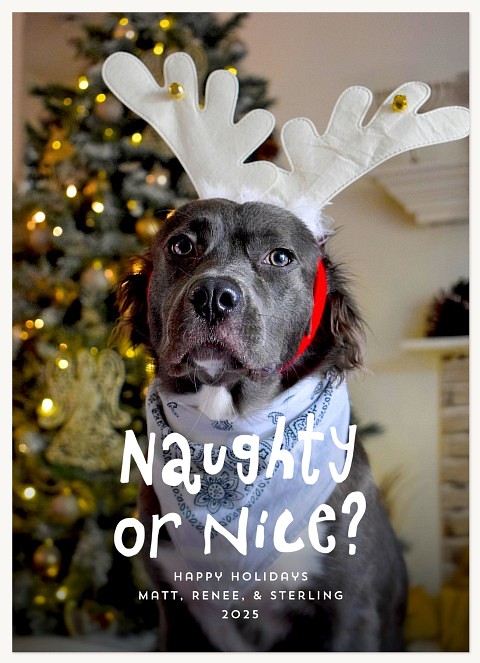 Playful Holiday Personalized Holiday Cards