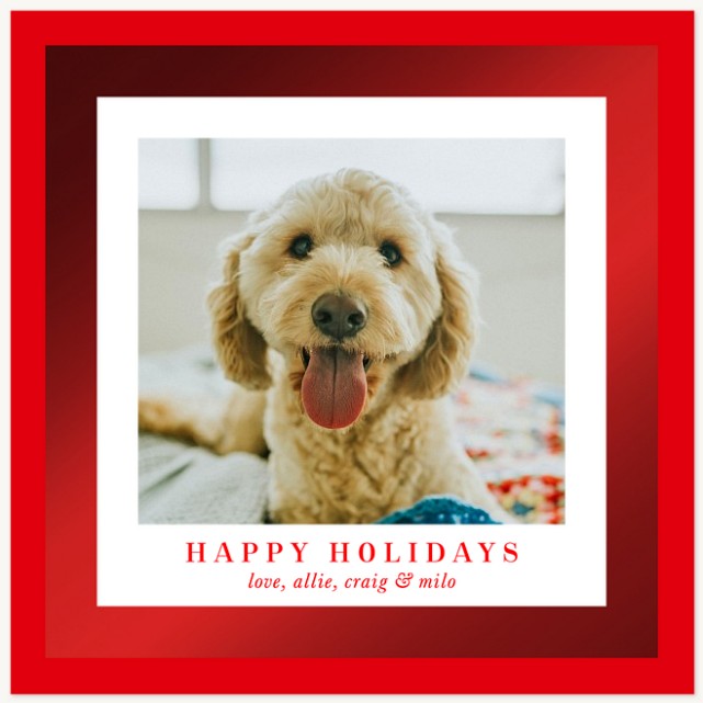 Foiled Frame Personalized Holiday Cards
