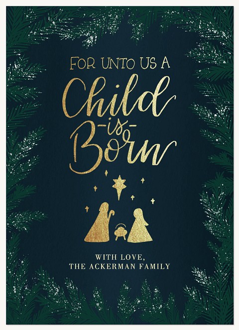 Flocked Manger Christmas Cards