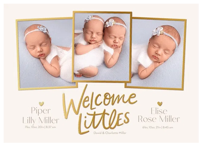 Welcome Littles Twin Birth Announcements