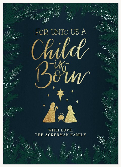 Flocked Manger Christmas Cards