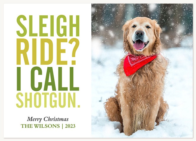 Sleigh Ride Pup Photo Holiday Cards
