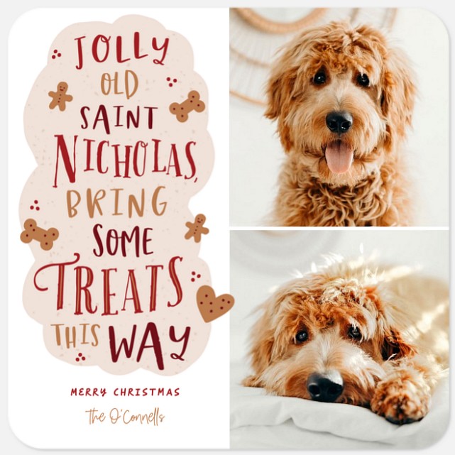 Bring Some Treats Holiday Photo Cards