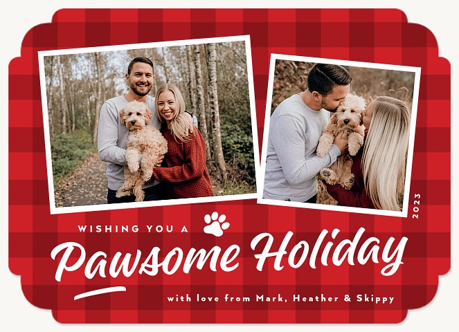 Super Pawsome Personalized Holiday Cards