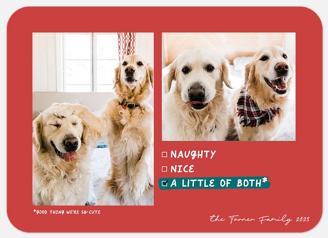 Naughty & Nice Holiday Photo Cards