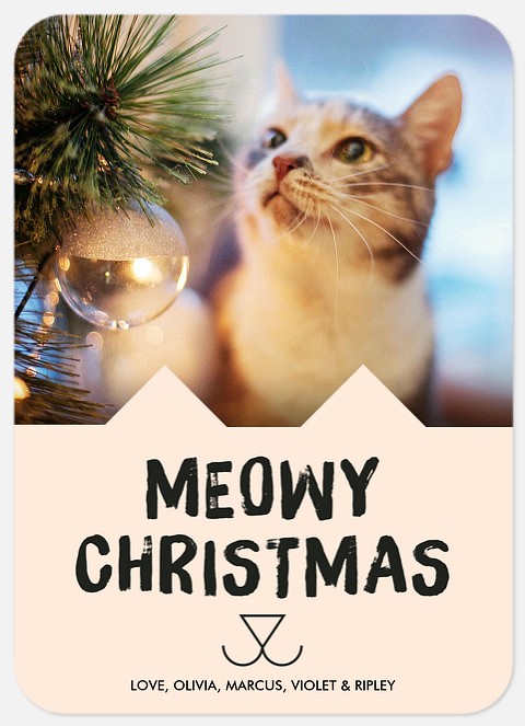 Cheerful Kitty Holiday Photo Cards