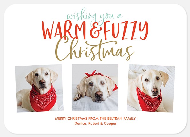 Warm & Fuzzy Holiday Photo Cards