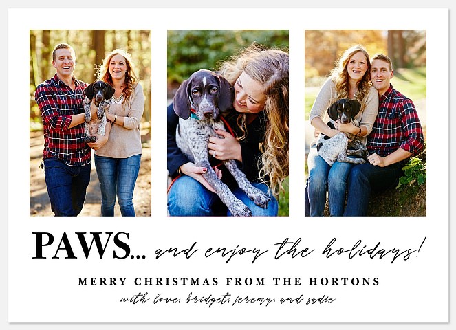 Time to Paws Holiday Photo Cards