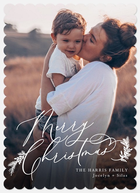 Christmas Sprigs Holiday Photo Cards