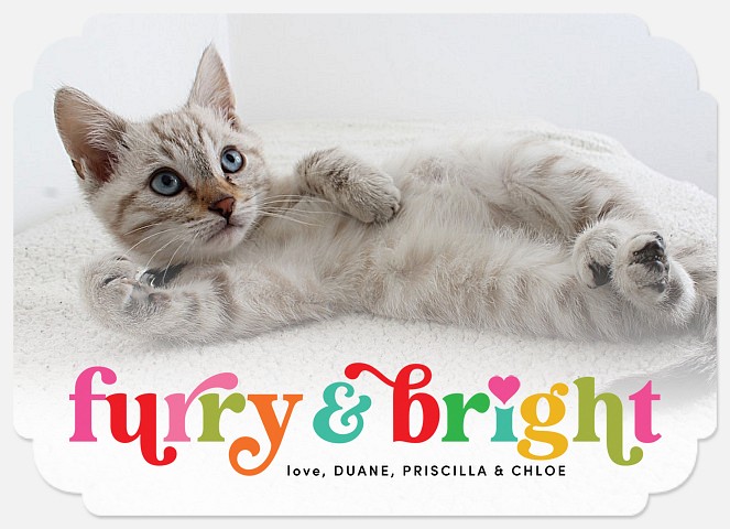 Furry & Bright Holiday Photo Cards