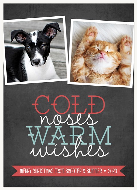 Cold Noses, Warm Wishes  Photo Holiday Cards