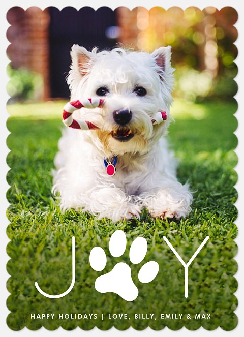 Pawfect Joy Featured Holiday Cards