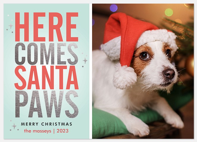Here Comes Santa Paws Holiday Photo Cards