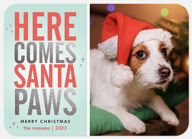 Here Comes Santa Paws Holiday Photo Cards