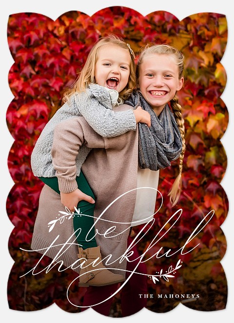 Thankful Foliage Thanksgiving Cards