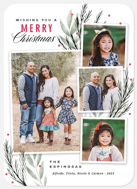 Sprigs of Winter Holiday Photo Cards