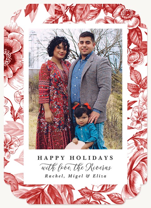 Holiday Toile Personalized Holiday Cards