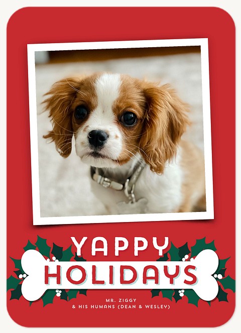 Yappy Holidays Personalized Holiday Cards