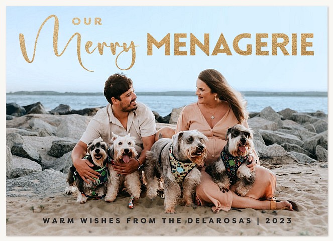 Merry Menagerie Personalized Holiday Cards