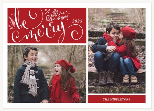 Winter Flourish  Christmas Cards
