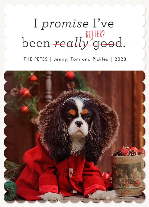 I've Been Good Dog Christmas Cards