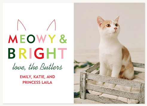 Meowy & Bright Christmas Cards